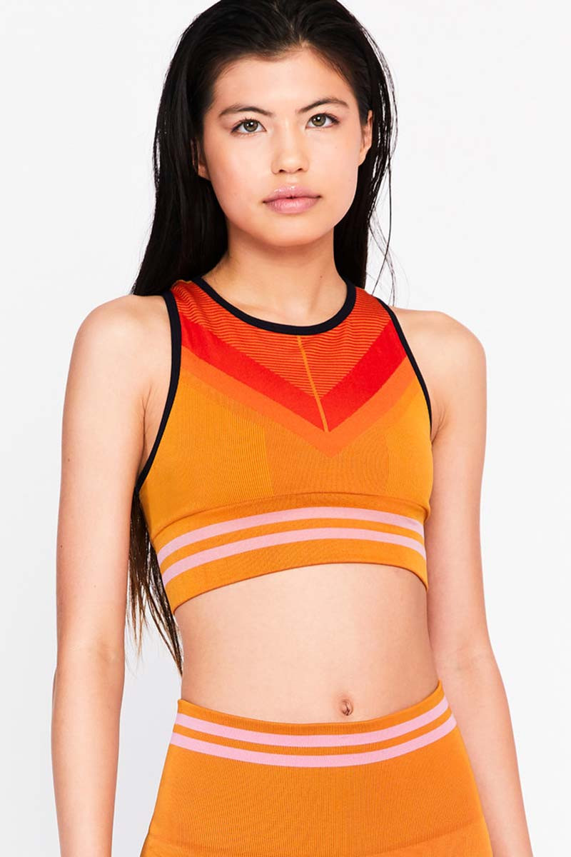 Skylark Sports Bra