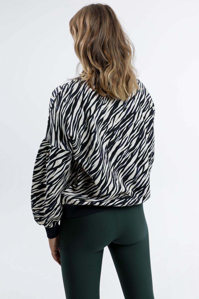 Zebra Bella Crew