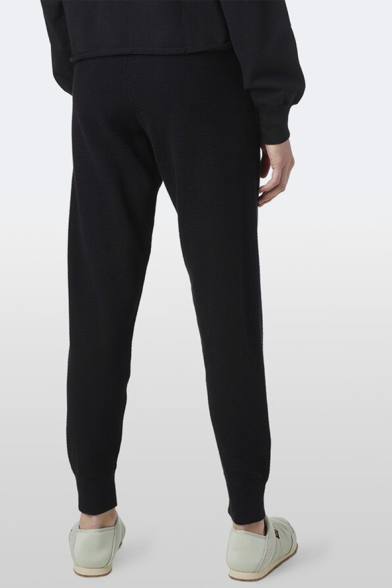 Alice Pant 2.0